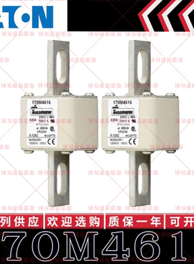 170M系列巴斯曼快速熔断器 170M4616 170M4617 170M4618 170M4619