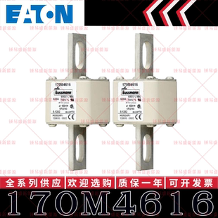 170M系列巴斯曼快速熔断器 170M4616 170M4617 170M4618 170M4619