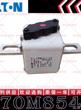 170M系列巴斯曼快速熔断器 170M8541 170M8542 170M8543 170M8544