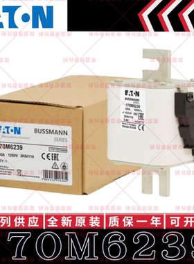 170M系列巴斯曼快速熔断器 170M6238 170M6239 170M6240 170M6241