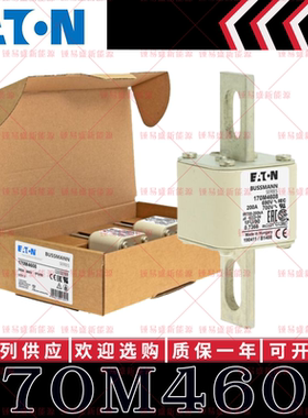 170M系列巴斯曼快速熔断器 170M4608 170M4609 170M4610 170M4611