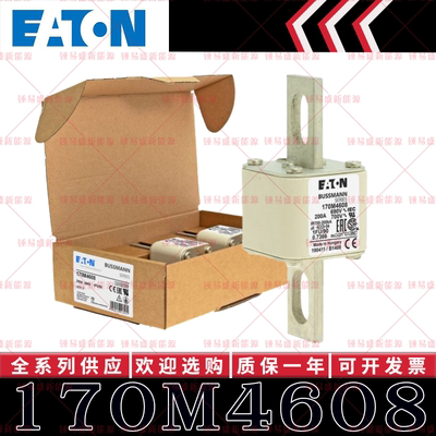 170M系列巴斯曼快速熔断器 170M4608 170M4609 170M4610 170M4611
