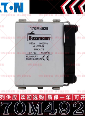 170M系列巴斯曼快速熔断器 170M4927 170M4928 170M4929 170M4930