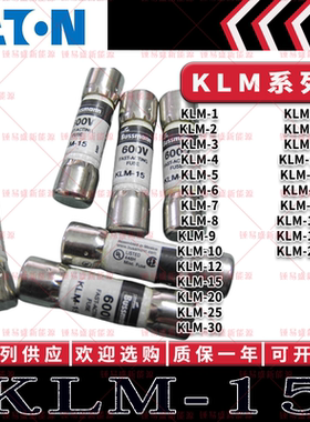 BUSSMANN保险丝 KLM-1-2-3-4-5-6-7-10-12-15-20-25-30 600V10X38