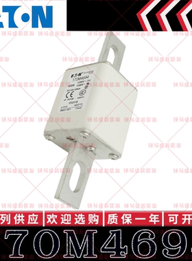 170M系列巴斯曼快速熔断器 170M4694 170M4695 170M4696 170M4697