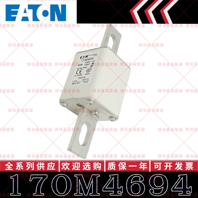 170M系列巴斯曼快速熔断器 170M4694 170M4695 170M4696 170M4697