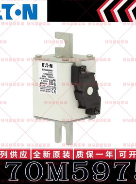 170M系列巴斯曼快速熔断器 170M5972 170M5973 170M5974 170M5975