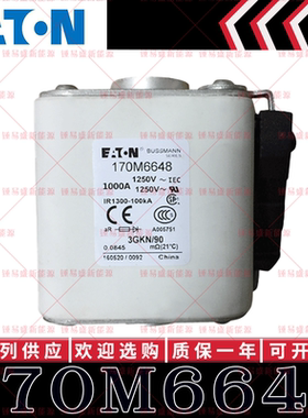 170M系列巴斯曼快速熔断器 170M6648 170M6649 170M6650 170M6651