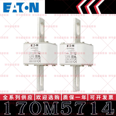 170M系列巴斯曼快速熔断器 170M5712 170M5713 170M5714 170M5715