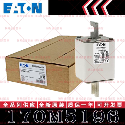 170M系列巴斯曼快速熔断器 170M5196 170M5197 170M5198 170M5199