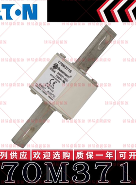 170M系列巴斯曼快速熔断器 170M3716 170M3717 170M3718 170M3719