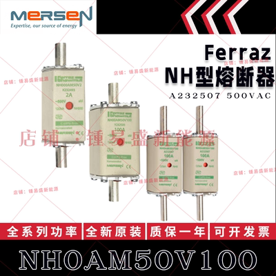 法国ferraz shawmut熔断器 NH0AM50V100/V125/V160/V200 陶瓷保险