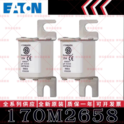 BUSSMANN巴斯曼快速熔断器 170M2658 170M2659 170M2660 170M2661