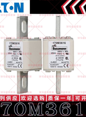 170M系列巴斯曼快速熔断器 170M3616 170M3617 170M3618 170M3619