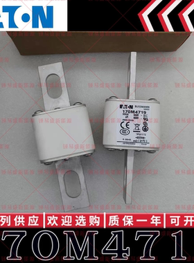 170M系列巴斯曼快速熔断器 170M4716 170M4717 170M4718 170M4719