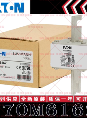 170M系列巴斯曼快速熔断器 170M6162 170M6163 170M6164 170M6165