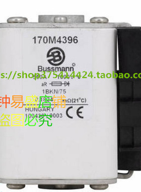 熔丝170M5593 170M5594 170M5595 170M5596 170M5597 170M5598