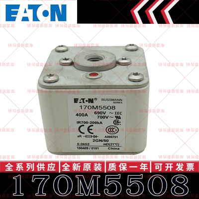 170M系列巴斯曼快速熔断器 170M5508 170M5509 170M5510 170M5511