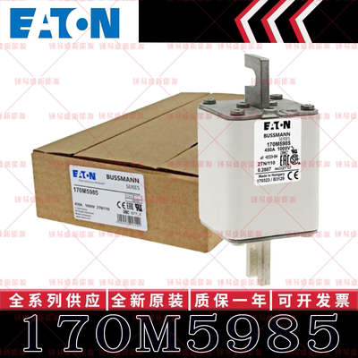 170M系列巴斯曼快速熔断器 170M5985 170M5986 170M5987 170M5988