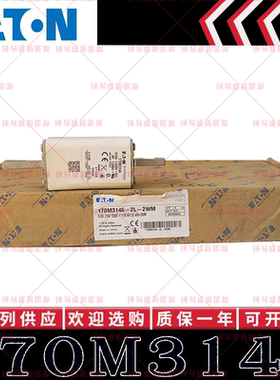 现货伊顿巴斯曼BUSSMANN保险丝 170M3146 315A 1250V 1300V熔断器
