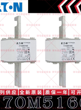 170M系列巴斯曼快速熔断器 170M5165 170M5166 170M5167 170M5168
