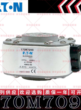 170M系列巴斯曼快速熔断器 170M7103 170M7104 170M7105 170M7106