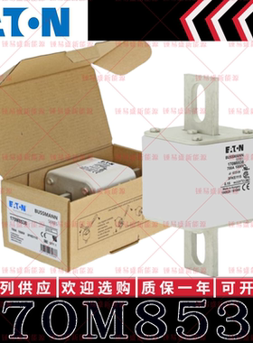 170M系列巴斯曼快速熔断器 170M8539 170M8540 170M8541 170M8542