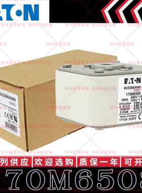 170M系列巴斯曼快速熔断器 170M6508 170M6509 170M6510 170M6511