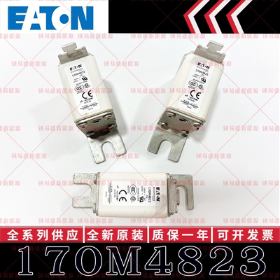 170M系列巴斯曼快速熔断器 170M4822 170M4823 170M4824 170M4825