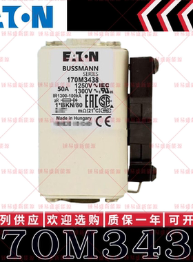 170M系列巴斯曼快速熔断器 170M3438 170M3439 170M3440 170M3441