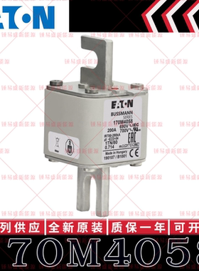 BUSSMANN巴斯曼快速熔断器 170M4058 170M4059 170M4060 170M4061