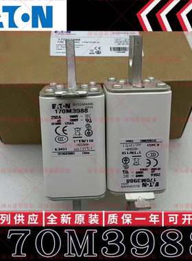 170M系列巴斯曼快速熔断器 170M3988 170M3989 170M3990 170M3991