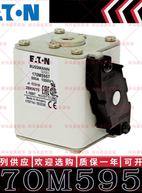 170M系列巴斯曼快速熔断器 170M5956 170M5957 170M5958 170M5959