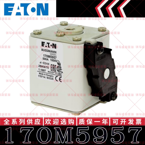 170M系列巴斯曼快速熔断器 170M5956 170M5957 170M5958 170M5959