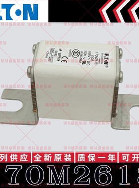 BUSSMANN巴斯曼快速熔断器 170M2618 170M2619 170M2620 170M2621