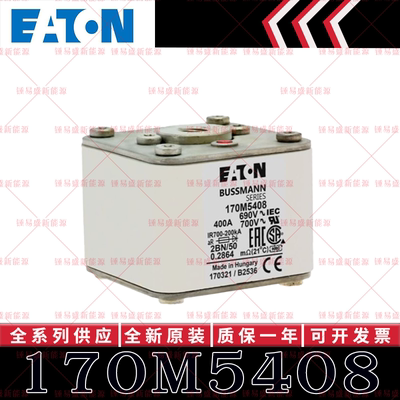 170M系列巴斯曼快速熔断器 170M5408 170M5409 170M5410 170M5411