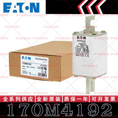 170M系列巴斯曼快速熔断器 170M4192 170M4193 170M4194 170M4195