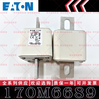 170M系列巴斯曼快速熔断器 170M6692 170M6693 170M6694 170M6695