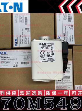 170M系列巴斯曼快速熔断器 170M5497 170M5498 170M5499 170M5500