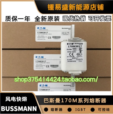 巴斯曼熔断器170M3812