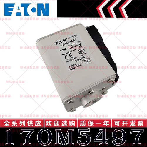 170M系列巴斯曼快速熔断器 170M5588 170M5589 170M5590 170M5591