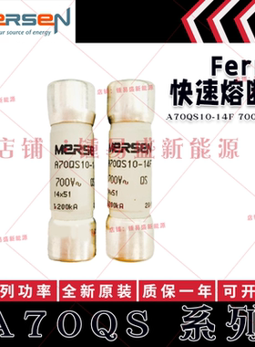 FERRAZ A700S10/15/20/25/32/40/50/63/70/80/90/100-22F/-22FI