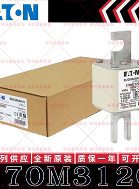 170M系列巴斯曼快速熔断器 170M3120 170M3121 170M3122 170M3123