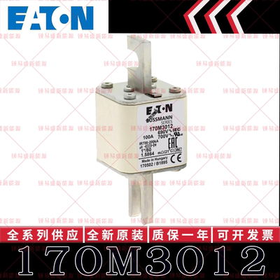 BUSSMANN巴斯曼快速熔断器 170M3012 170M3013 170M3014 170M3015