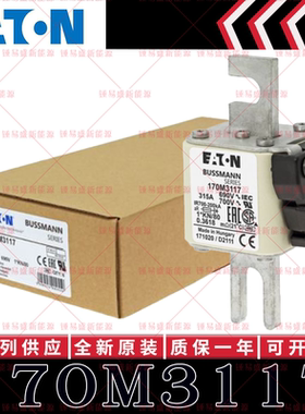 170M系列巴斯曼快速熔断器 170M3116 170M3117 170M3118 170M3119