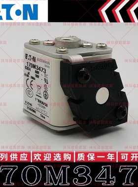 现货美国eaton BUSSMANN保险丝 170M3473 630A 690V 700V 熔断器