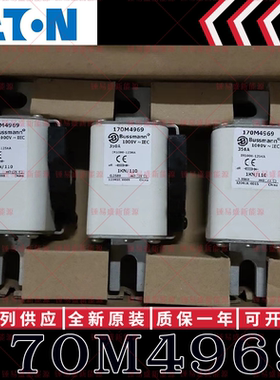 170M系列巴斯曼快速熔断器 170M4965 170M4966 170M4967 170M4968