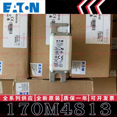 170M系列巴斯曼快速熔断器 170M4812 170M4813 170M4814 170M4815