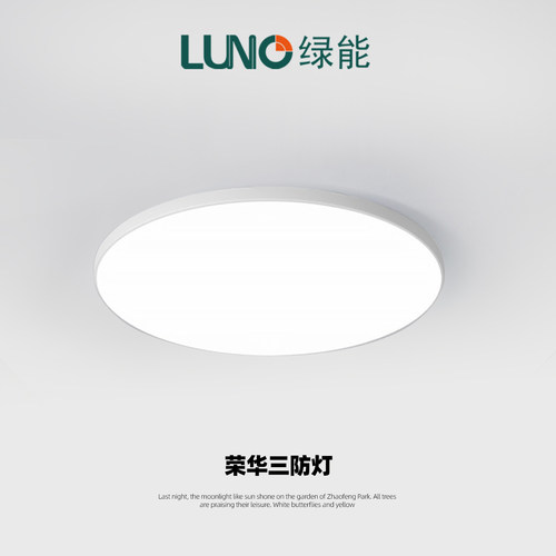 绿能照明三防led过道阳台吸顶灯