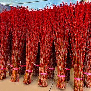 银柳真花鲜枝年宵花卉红色干花福桶银柳水培植物雪柳客厅室内装饰